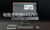 电瓶充电器6V12V24V大功率多功能纯铜通用型蓄电池汽车电池充电机