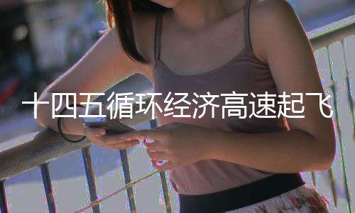 十四五循环经济高速起飞，粤丰环保如何乘风而上？