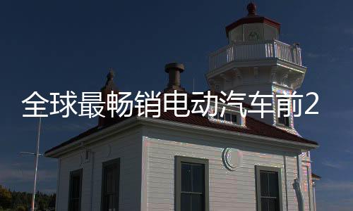 全球最畅销电动汽车前20名销量榜单：中国9款占半壁江山（图）