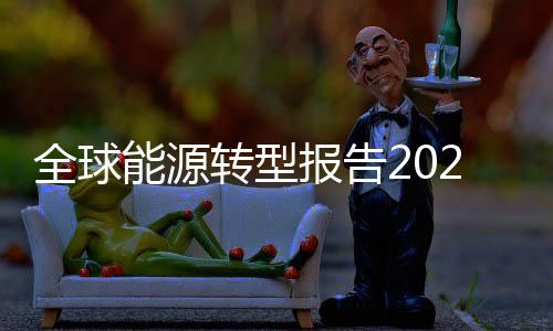 全球能源转型报告2020—电力供应和使用
