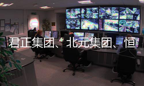 君正集团、北元集团、恒光股份,谁是盈利能力最强的氯碱企业?