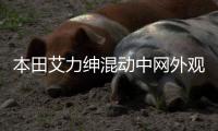 本田艾力绅混动中网外观改装件前脸保险杠大包围专用装饰亮条配件