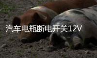 汽车电瓶断电开关12V防亏电漏电保护器智能蓝牙遥控纯铜实时监控