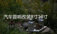 汽车音响改装8寸10寸12寸车载无源低音炮双音圈纯低音喇叭重低音