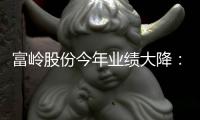 富岭股份今年业绩大降：存货与应收账款偏高，偿债能力弱于同行