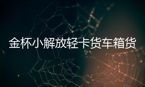 金杯小解放轻卡货车箱货领骐骐运汽车配件汽车坐垫套冰丝座垫货