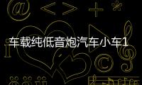 车载纯低音炮汽车小车12V大货车24V超重低音有源蓝牙功放音响改装