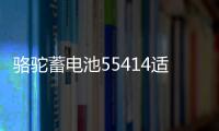 骆驼蓄电池55414适用桑塔纳2000/3000老捷达红旗汽车电瓶54AH