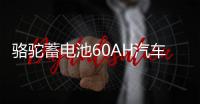 骆驼蓄电池60AH汽车电瓶L2400适配斯柯达明锐昊锐昕锐科鲁兹速派