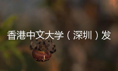香港中文大学(深圳)发布2021年本科毕业生就业质量报告