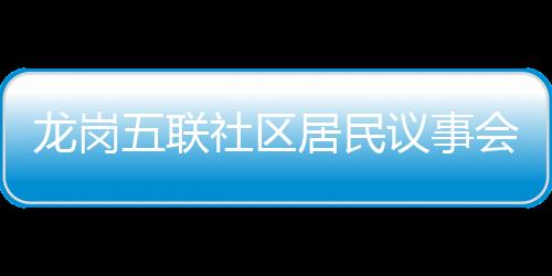 龙岗五联社区居民议事会  献出“金点子”助力小区治理